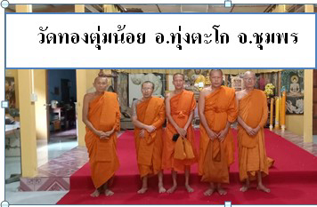 วัดทองตุ่มน้อย