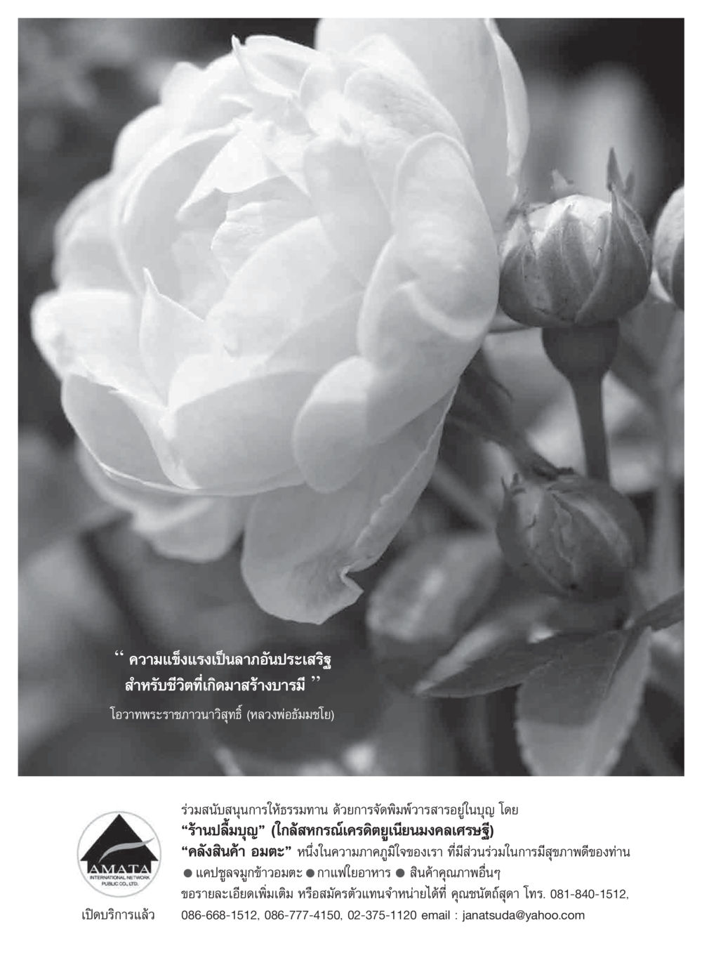 ความแข็งแรงเป็นลาภอันประเสริฐ วารสารอยู่ในบุญ ประจำเดือน กุมภาพันธ์ พ.ศ.2550 หน้า 26