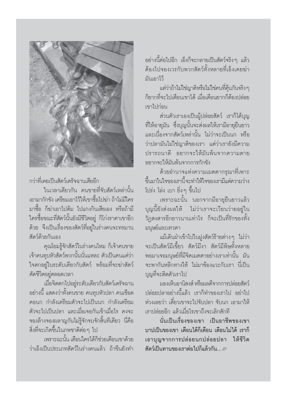 การปล่อยสัตว์และอานิสงส์ วารสารอยู่ในบุญ ประจำเดือน มีนาคม พ.ศ.2550 หน้า 41