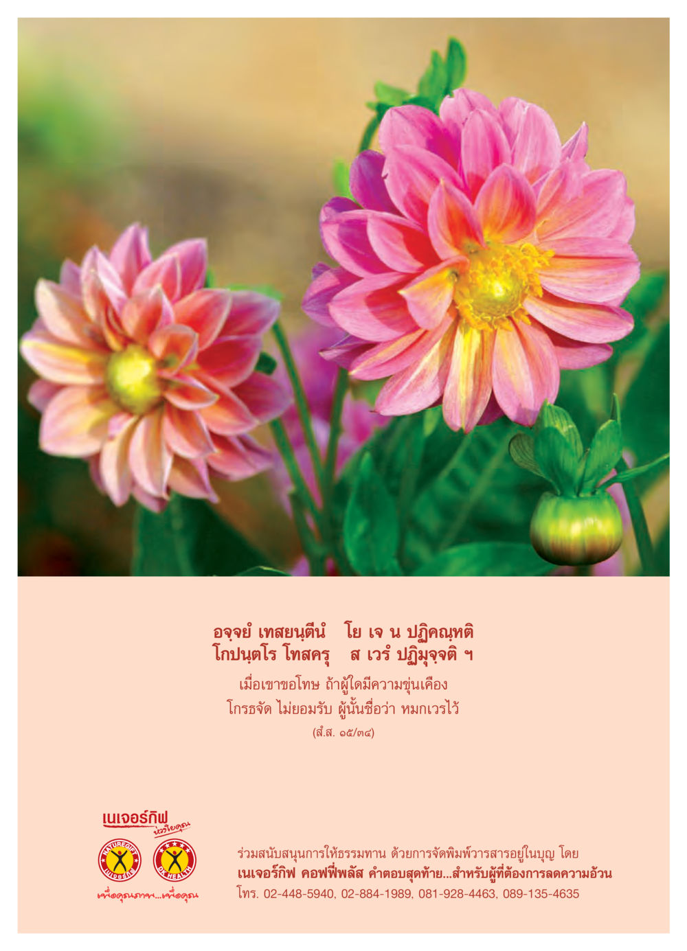 เนเจอร์กิฟ: นววิโยคณ เพื่อคุณภาพเพื่อคุณ วารสารอยู่ในบุญ ประจำเดือน มีนาคม พ.ศ.2550 หน้า 51