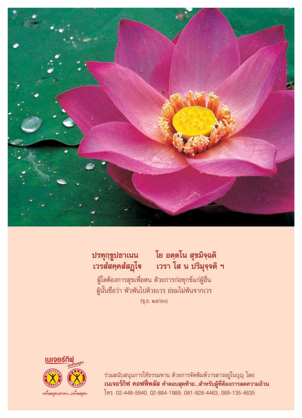 เนเจอร์กิฟ: โยคะและคุณภาพชีวิต วารสารอยู่ในบุญ ประจำเดือน เมษายน พ.ศ.2550 หน้า 29