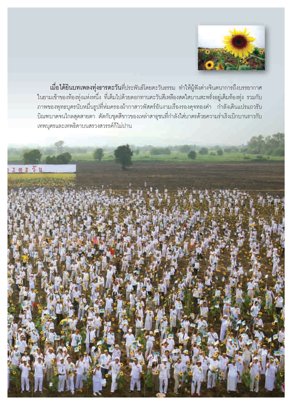 ทุ่งธารตะวัน: บทเพลงแห่งบรรยากาศยามเช้า วารสารอยู่ในบุญ ประจำเดือน พฤศจิกายน  พ.ศ.2551 หน้า 39