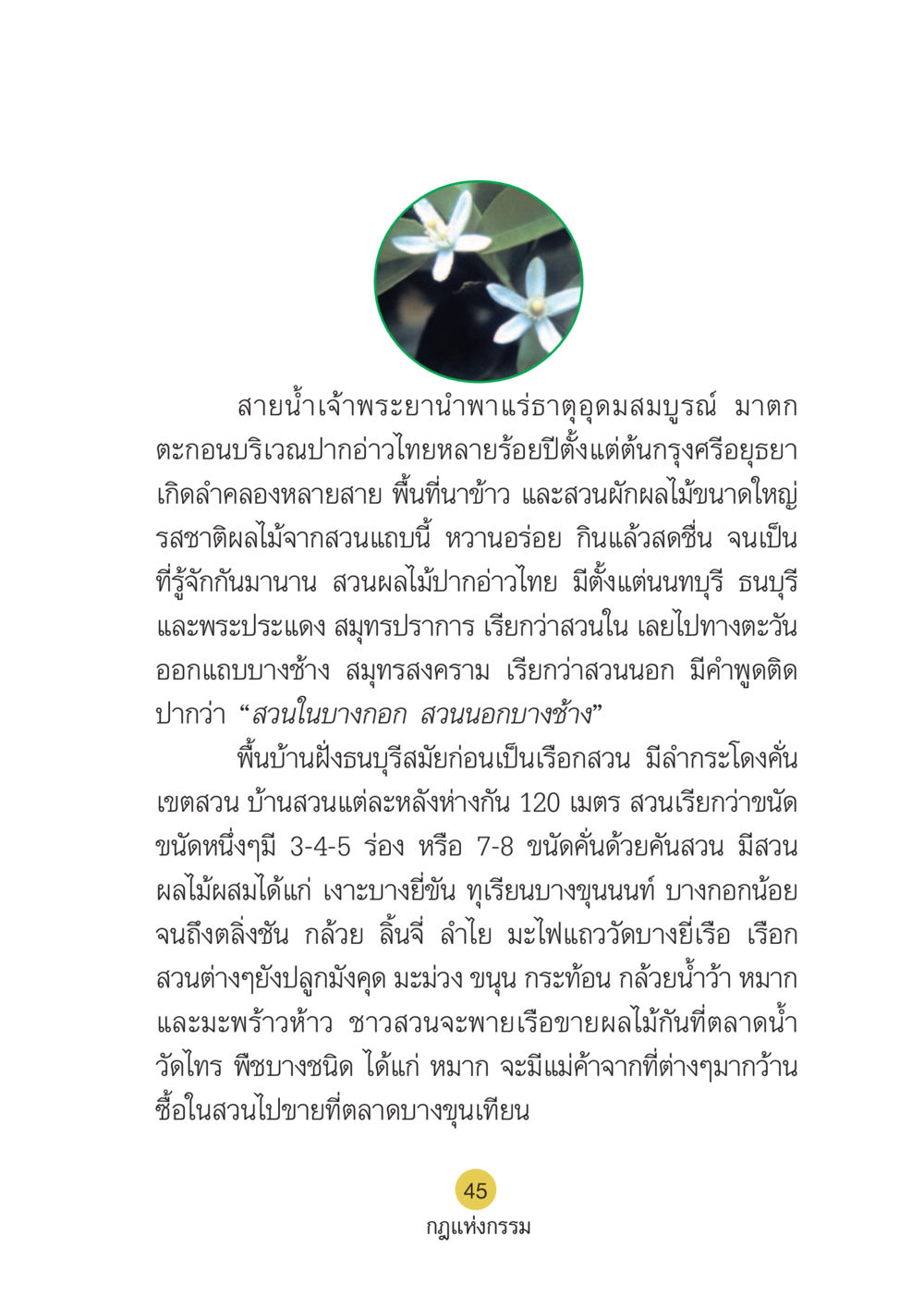 สายน้ำเจ้าพระยาและสวนผลไม้บริเวณปากอ่าวไทย Case Study กฎแห่งกรรม เล่มที่ 6 หน้า 46