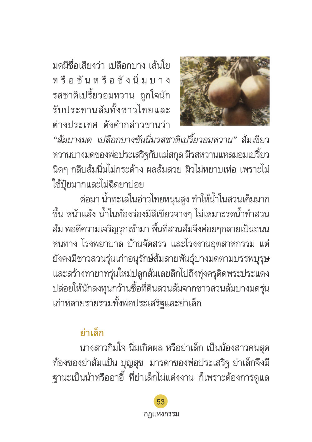 ส้มบางมด: รสชาติและประวัติที่ยั่งยืน Case Study กฎแห่งกรรม เล่มที่ 6 หน้า 54