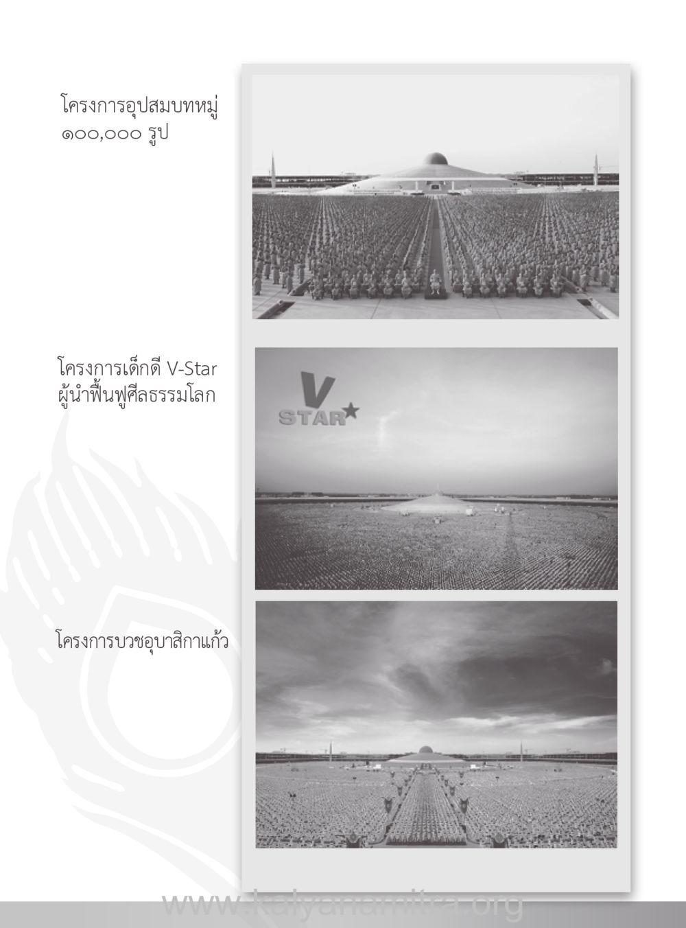 null คุณยายของฉัน หน้า 43