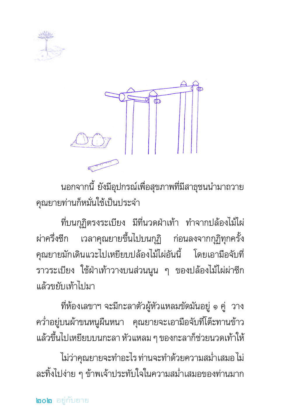 อุปกรณ์เพื่อสุขภาพของคุณยาย อยู่กับยาย หน้า 202