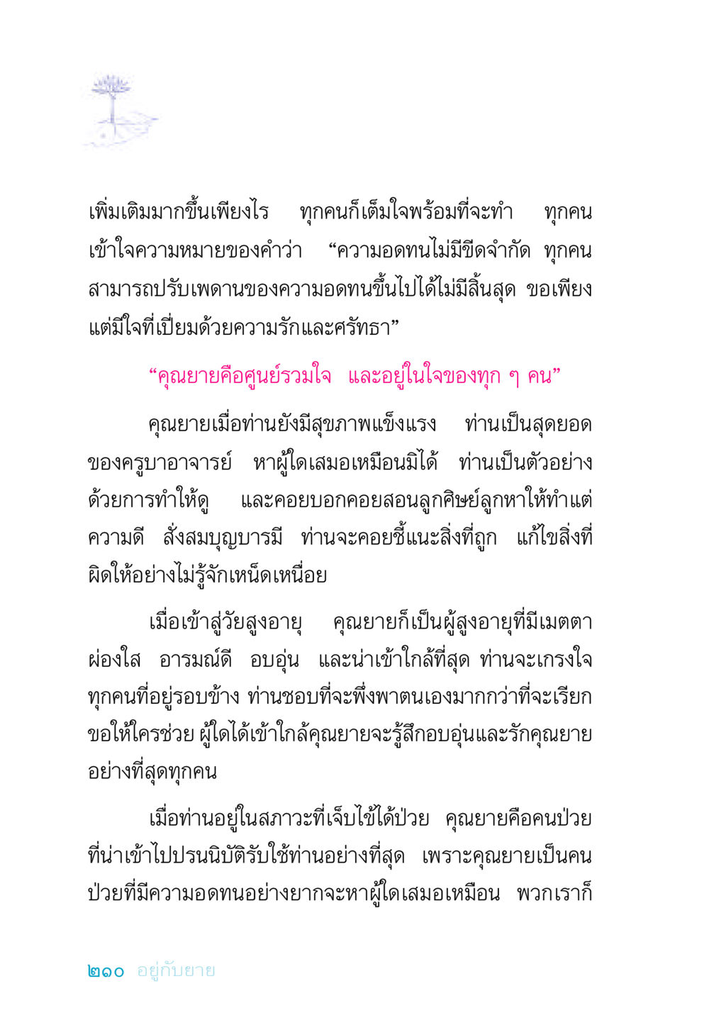 คุณยายและความอดทนที่ไม่มีขีดจำกัด อยู่กับยาย หน้า 210