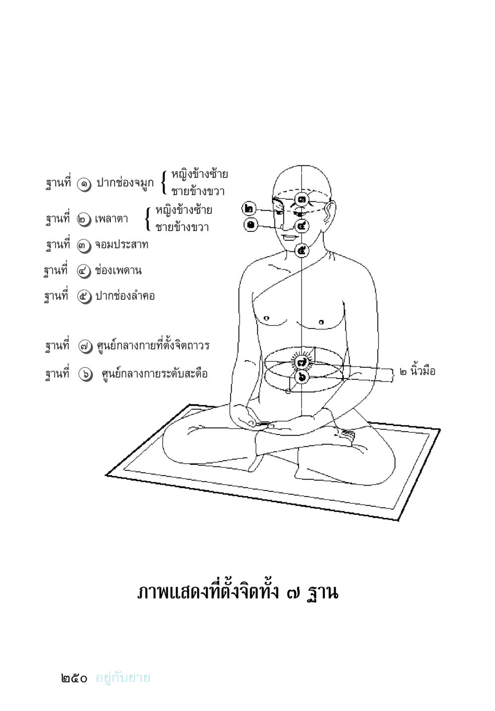 null อยู่กับยาย หน้า 250