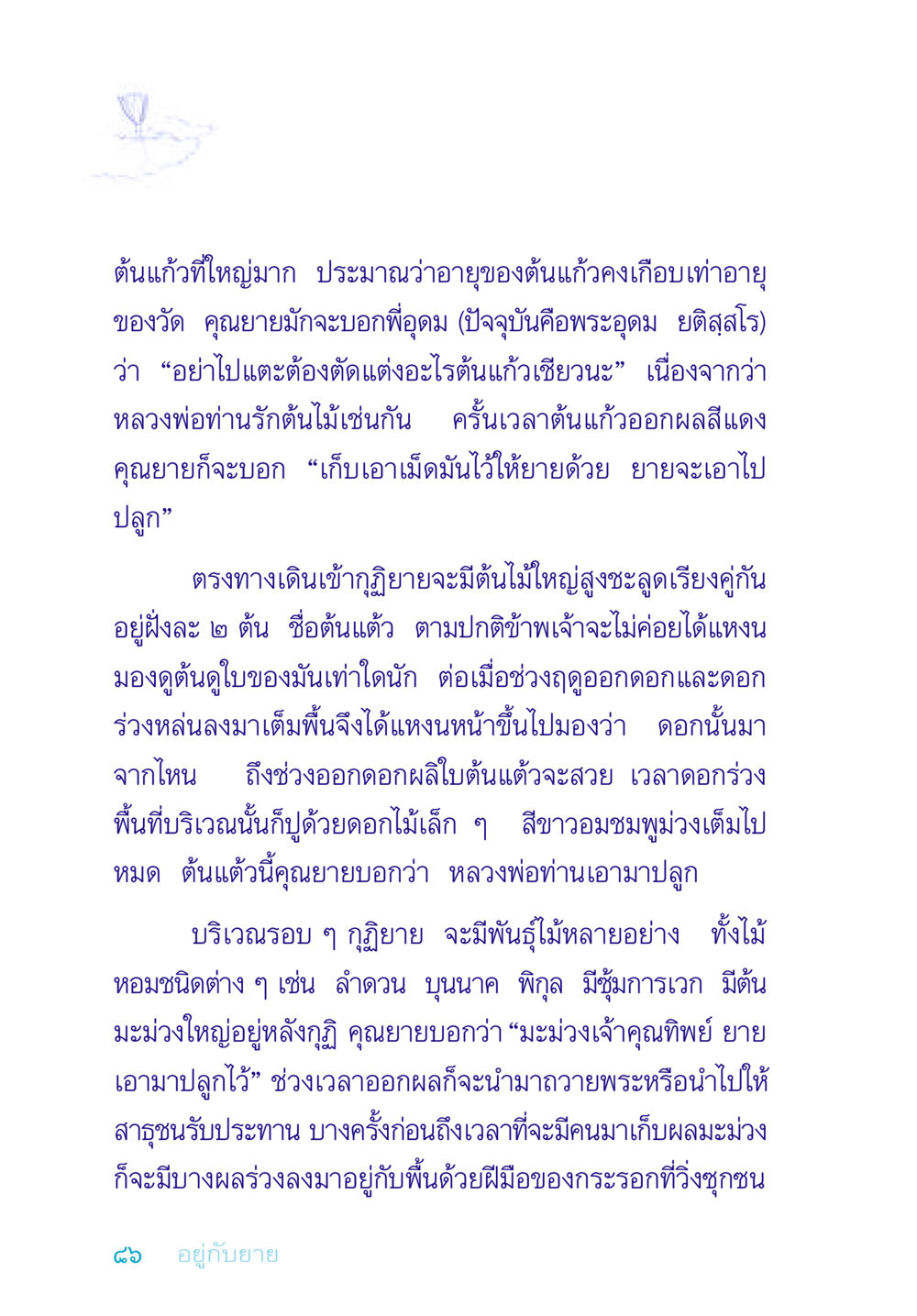 ต้นไม้และความทรงจำในวัด อยู่กับยาย หน้า 86