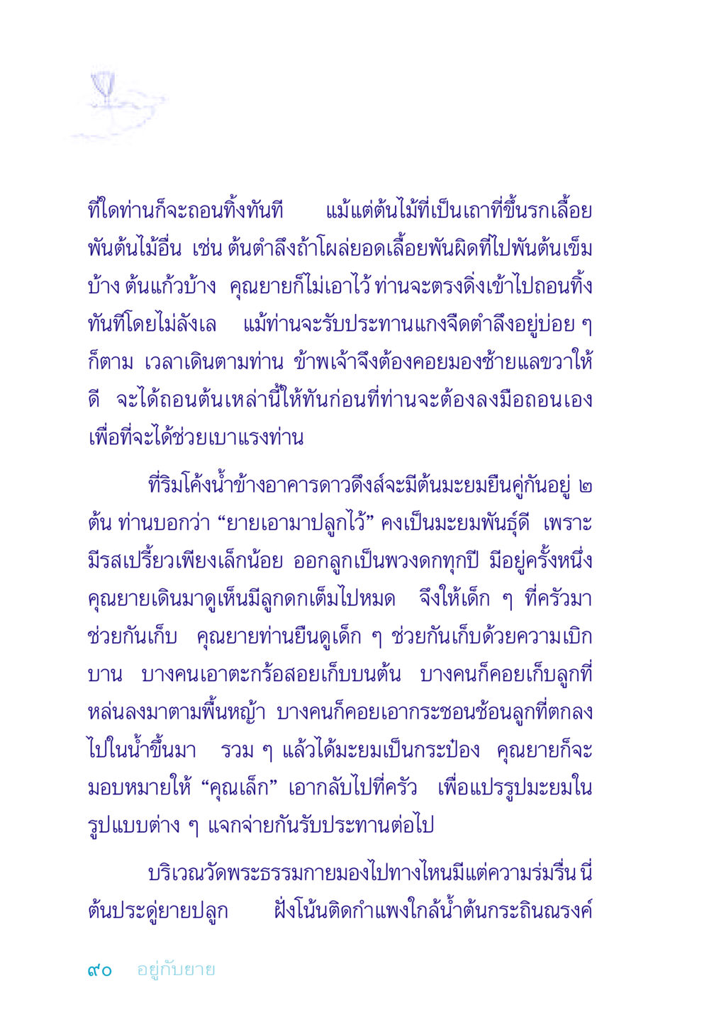 การดูแลต้นไม้และการเก็บมะยมในสภาพแวดล้อมที่ร่มรื่น อยู่กับยาย หน้า 90