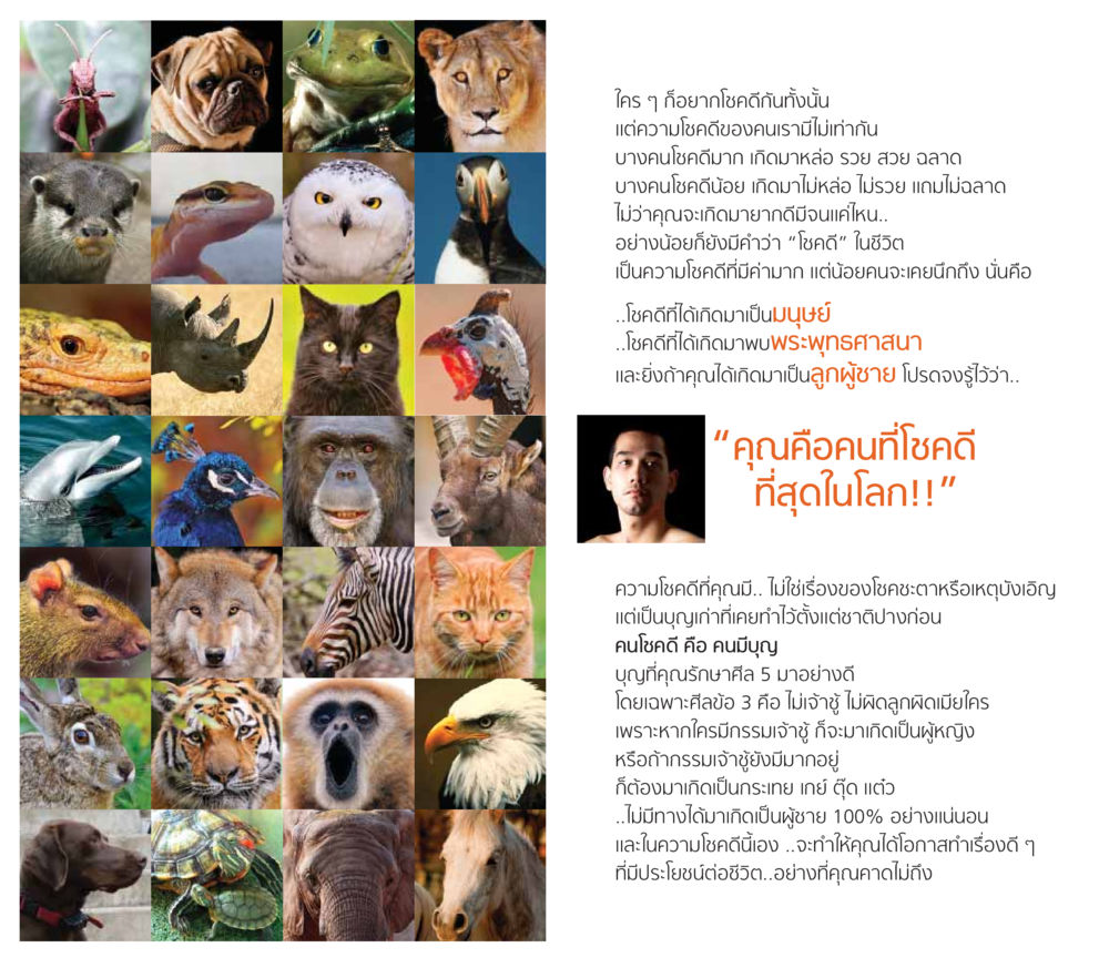 ความโชคดีและบุญที่มีค่า โชคดีที่ได้เกิดเป็นลูกผู้ชาย หน้า 3
