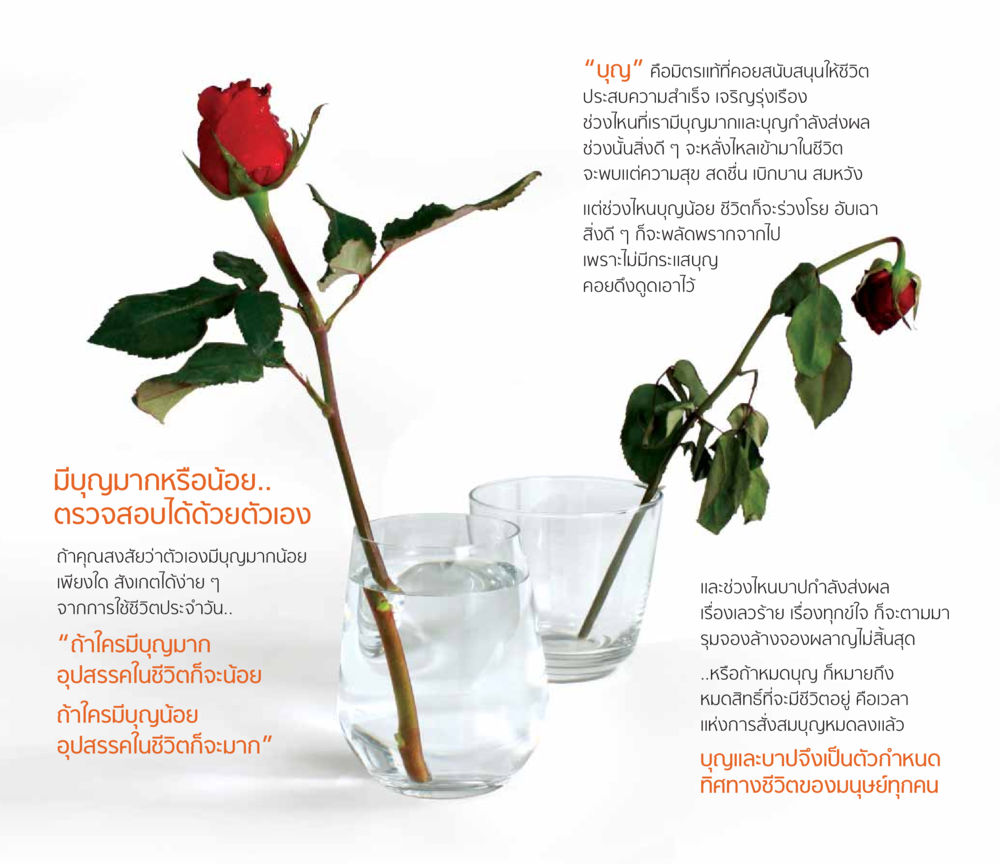 บุญและบาป: ตัวกำหนดชีวิตของมนุษย์ โชคดีที่ได้เกิดเป็นลูกผู้ชาย หน้า 7