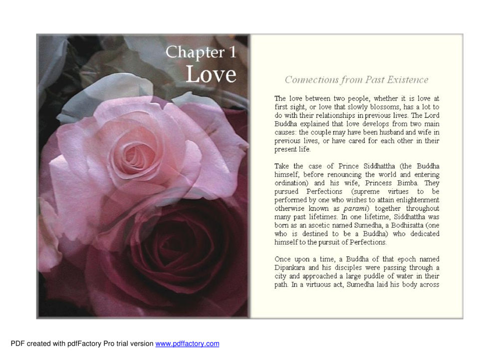Connections of Love from Past Existences Lovely Love หน้า 5
