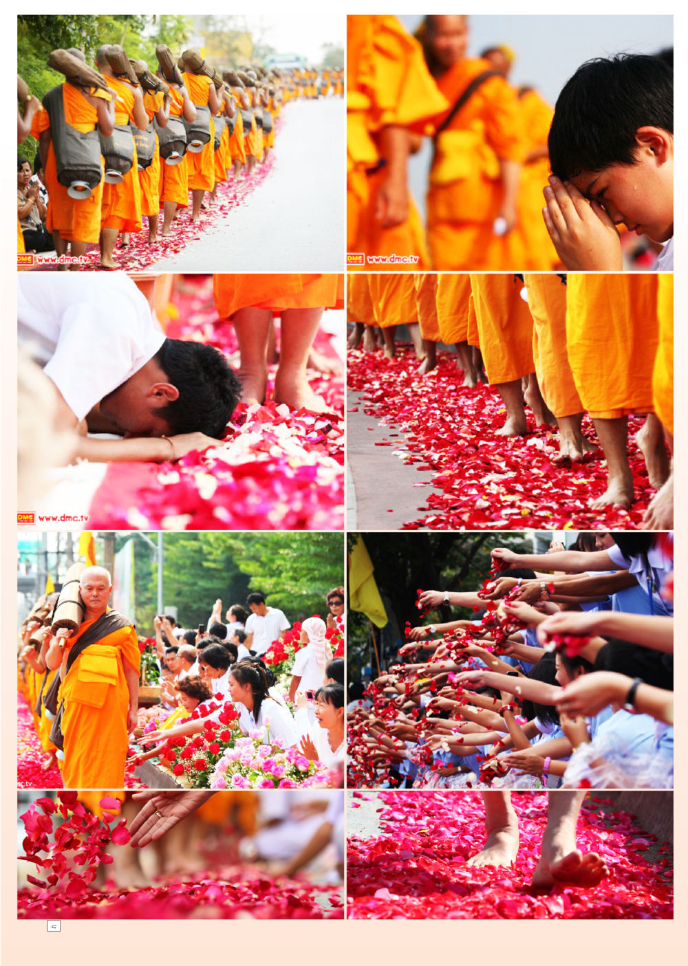 null Dhamma Time เดือน กันยายน พ.ศ.2554 หน้า 8