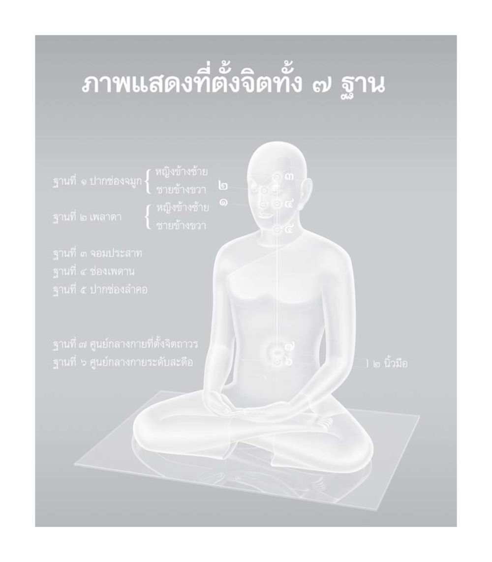 null เธอคือดวงตะวันน้อย แด่เธอ...ผู้นำของโลกในการทำความดี หน้า 216