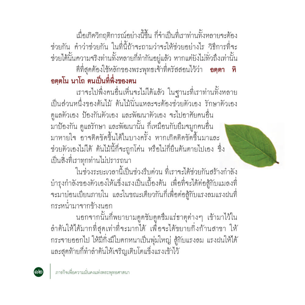 การพึ่งตัวเองในยามวิกฤติ ภารกิจเพื่อความมั่นคงแห่งพระพุทธศาสนา หน้า 14