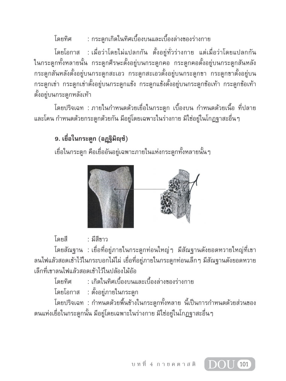 การศึกษาเกี่ยวกับกระดูกและเยื่อในกระดูก MD 306 สมาธิ 6  หน้า 111