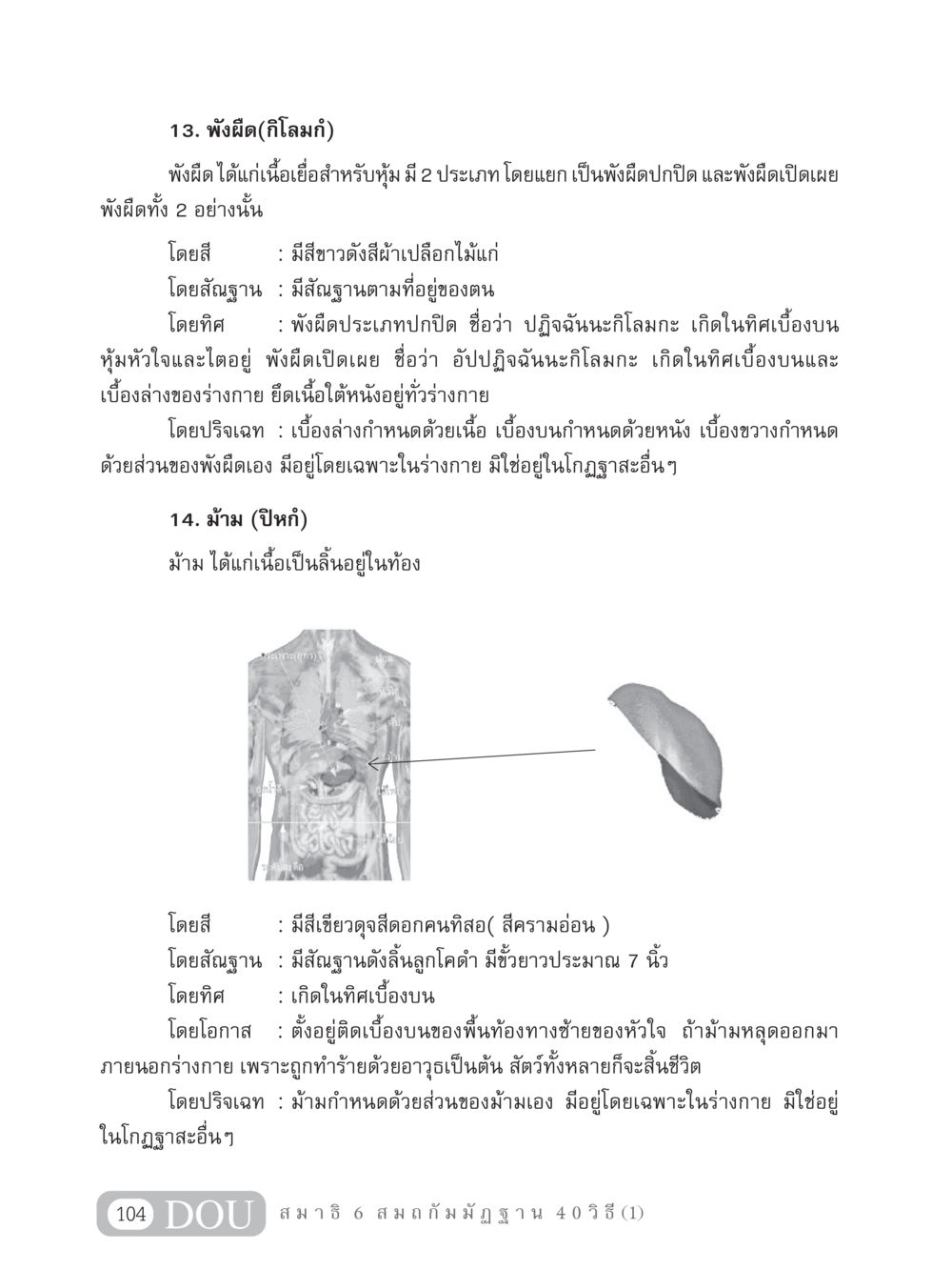 พังผืดและม้ามในร่างกาย MD 306 สมาธิ 6  หน้า 114