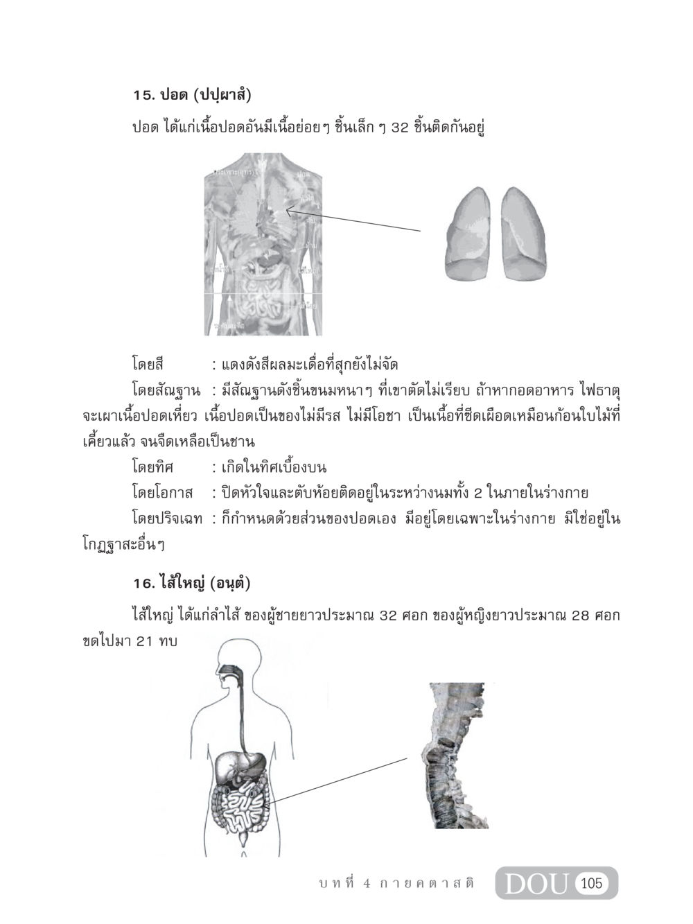 ปอดและไส้ใหญ่: ความรู้เกี่ยวกับอวัยวะในร่างกาย MD 306 สมาธิ 6  หน้า 115