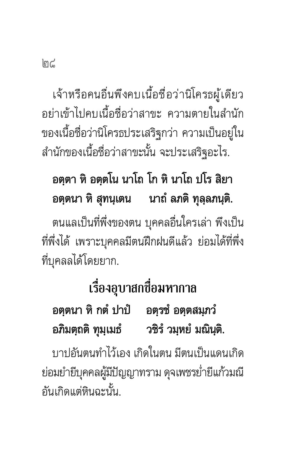 การเป็นที่พึ่งของตนเอง คาถาธรรมบท ภาค ๕-๖ หน้า 28