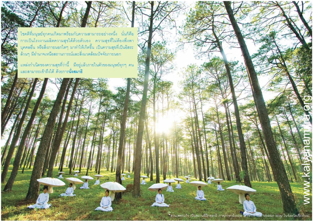 การค้นพบความสุขภายในตัวเอง สุขดีที่หนึ่งเลย หน้า 5