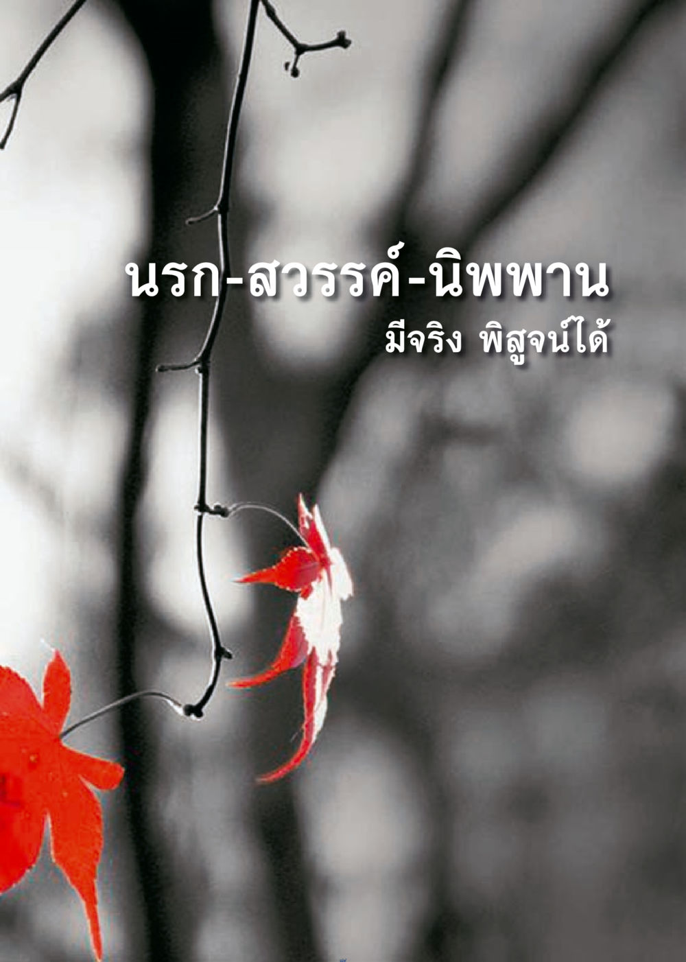 null เมื่อไม่รู้จะอ่านอะไร 3 หน้า 169