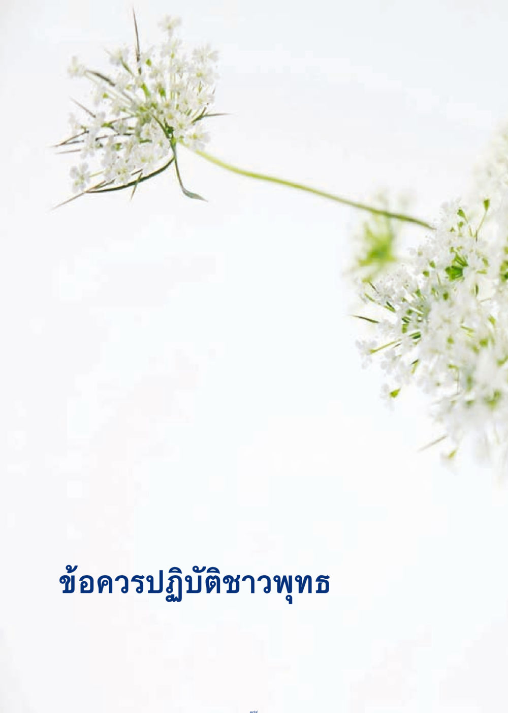 null เมื่อไม่รู้จะอ่านอะไร 3 หน้า 254