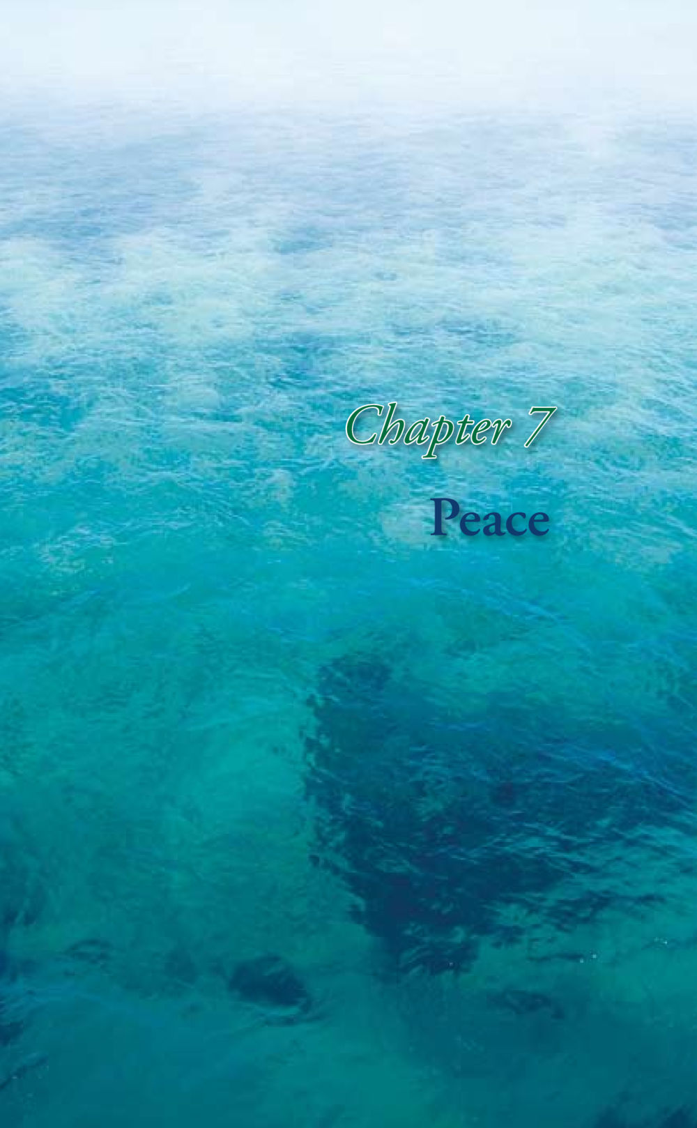 null Journey to joy หน้า 236