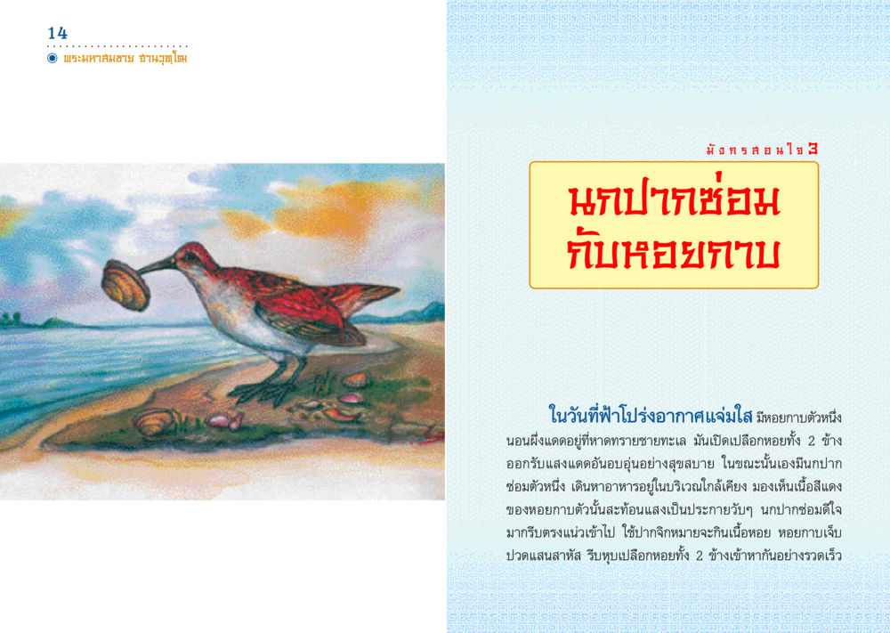 นกปากซ่อมและหอยกาบ มังกรสอนใจ หน้า 8