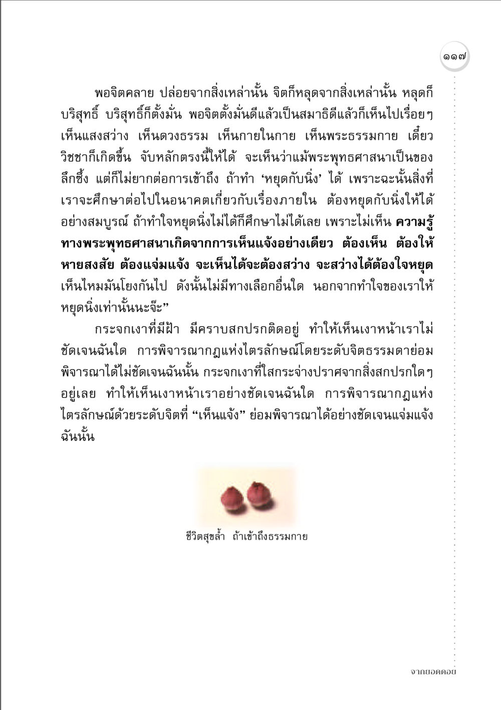 การเข้าถึงธรรมกายและการหยุดนิ่ง จากยอดดอย หน้า 115