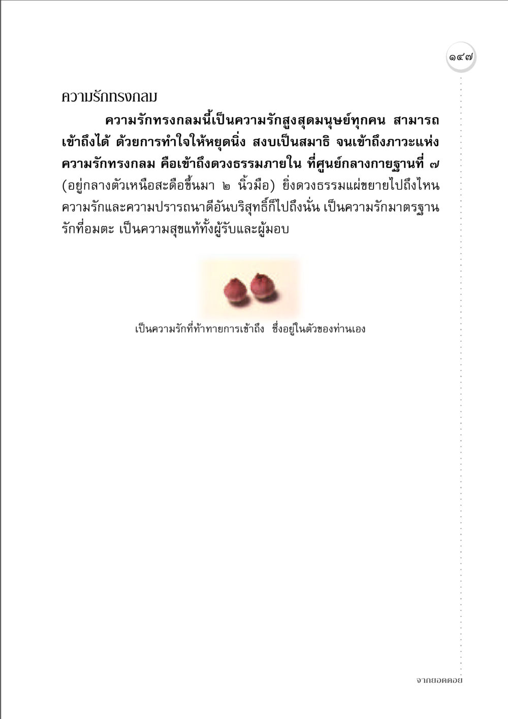 ความรักทรงกลม จากยอดดอย หน้า 145