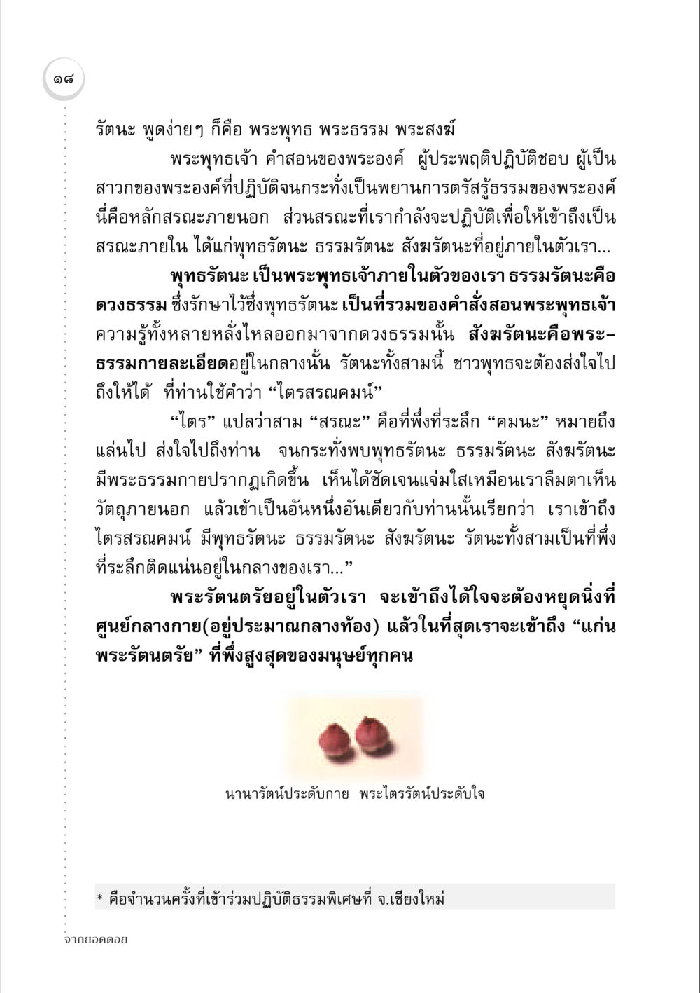 การเข้าถึงพระรัตนตรัยภายใน จากยอดดอย หน้า 18