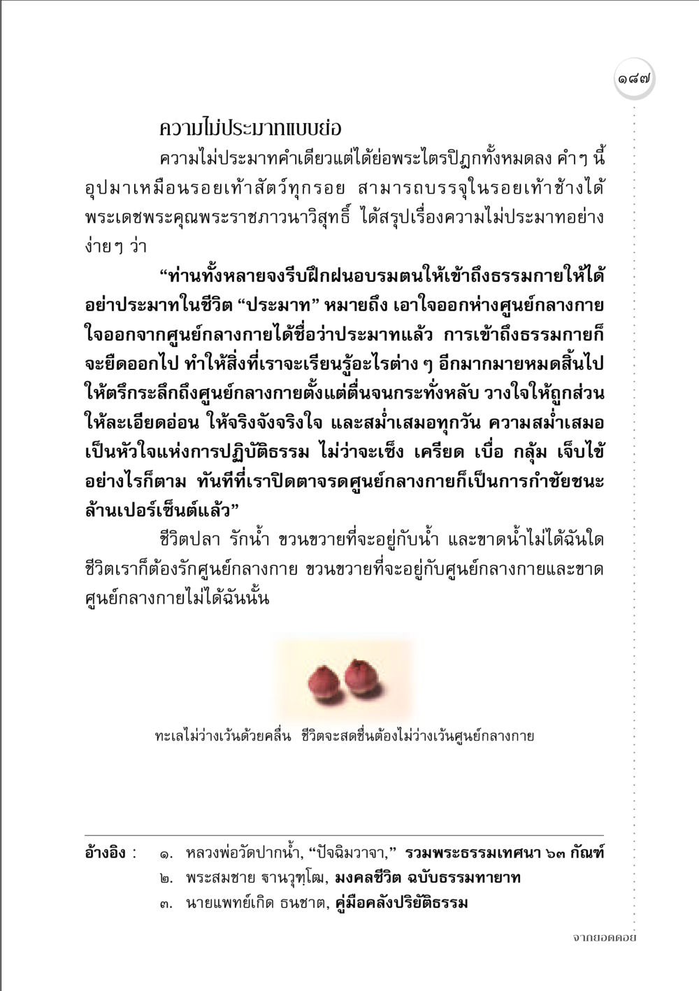 ความไม่ประมาทในชีวิต จากยอดดอย หน้า 185