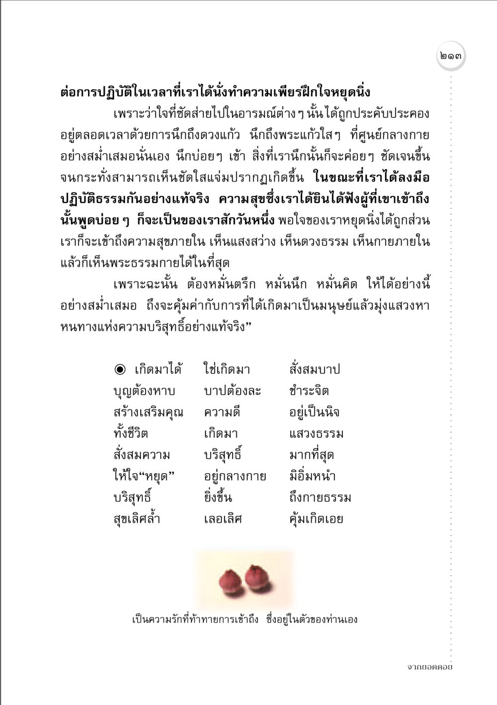 การปฏิบัติธรรมและการหยุดใจ จากยอดดอย หน้า 209