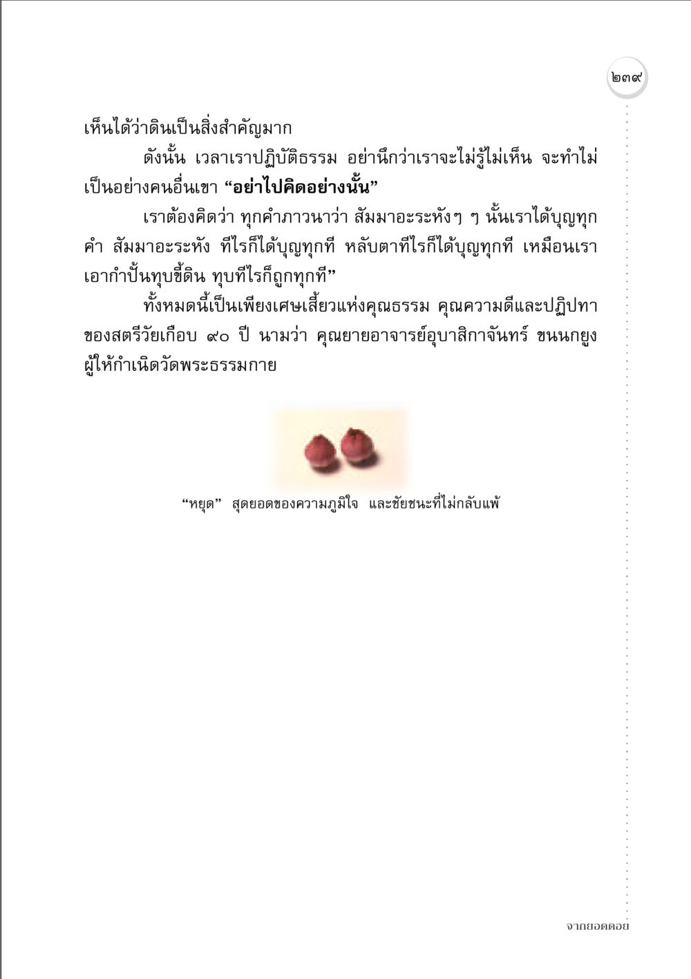 ความสำคัญของดินและการปฏิบัติธรรม จากยอดดอย หน้า 233