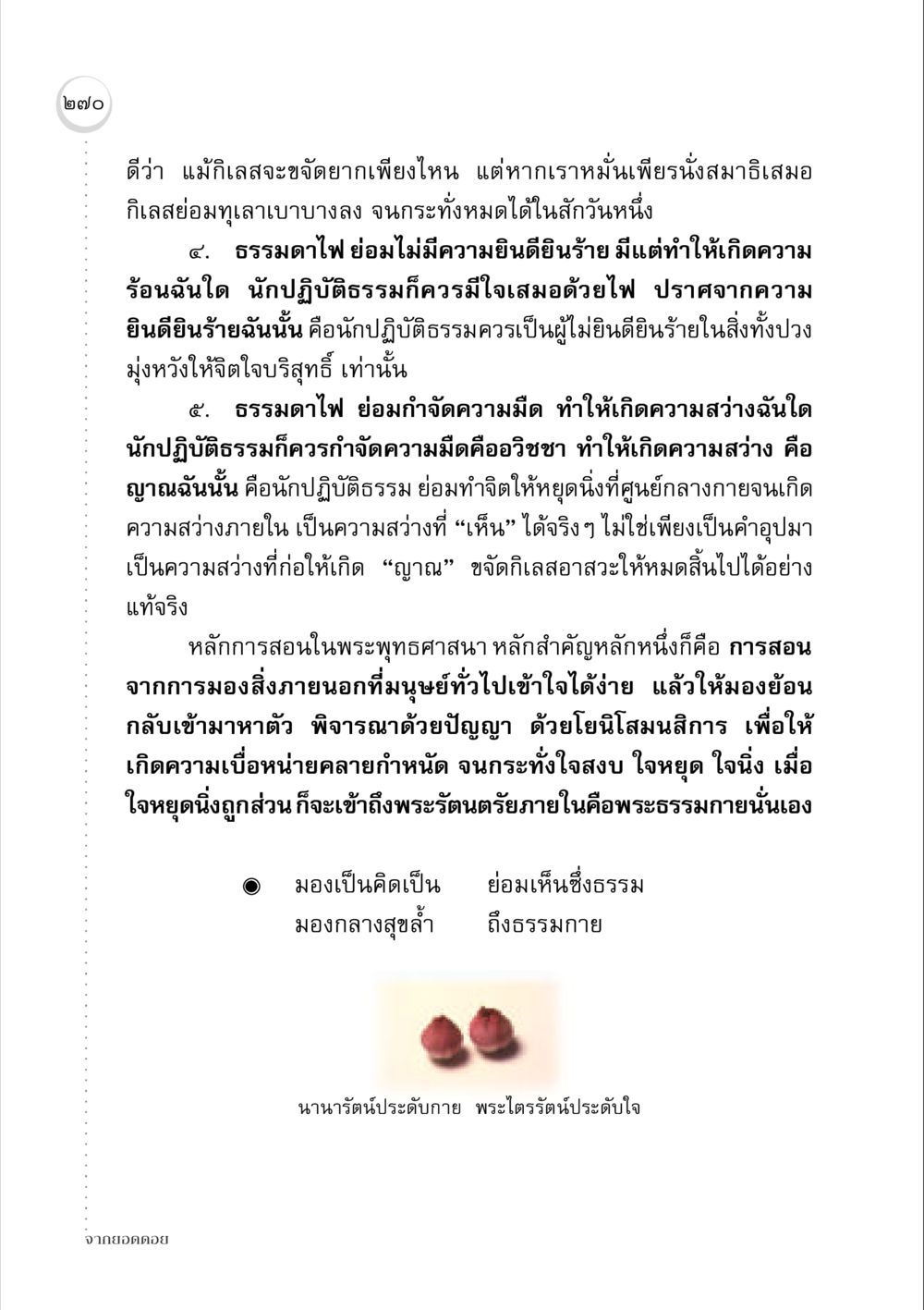 การปฏิบัติธรรมเพื่อการเข้าถึงความบริสุทธิ์ จากยอดดอย หน้า 262