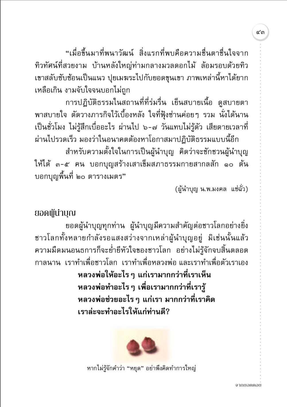 การปฏิบัติธรรมที่พนาวัฒน์: สู่ความสงบและเมตตา จากยอดดอย หน้า 43