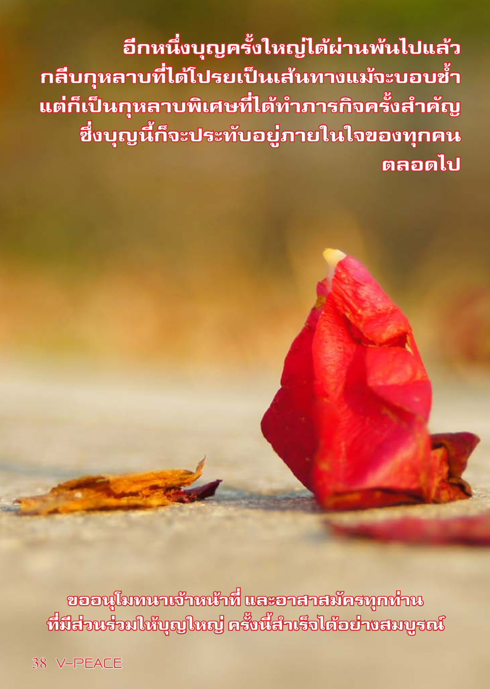 null นิตยสาร V-Peace เดือนกุมภาพันธ์ พ.ศ.2555 หน้า 38