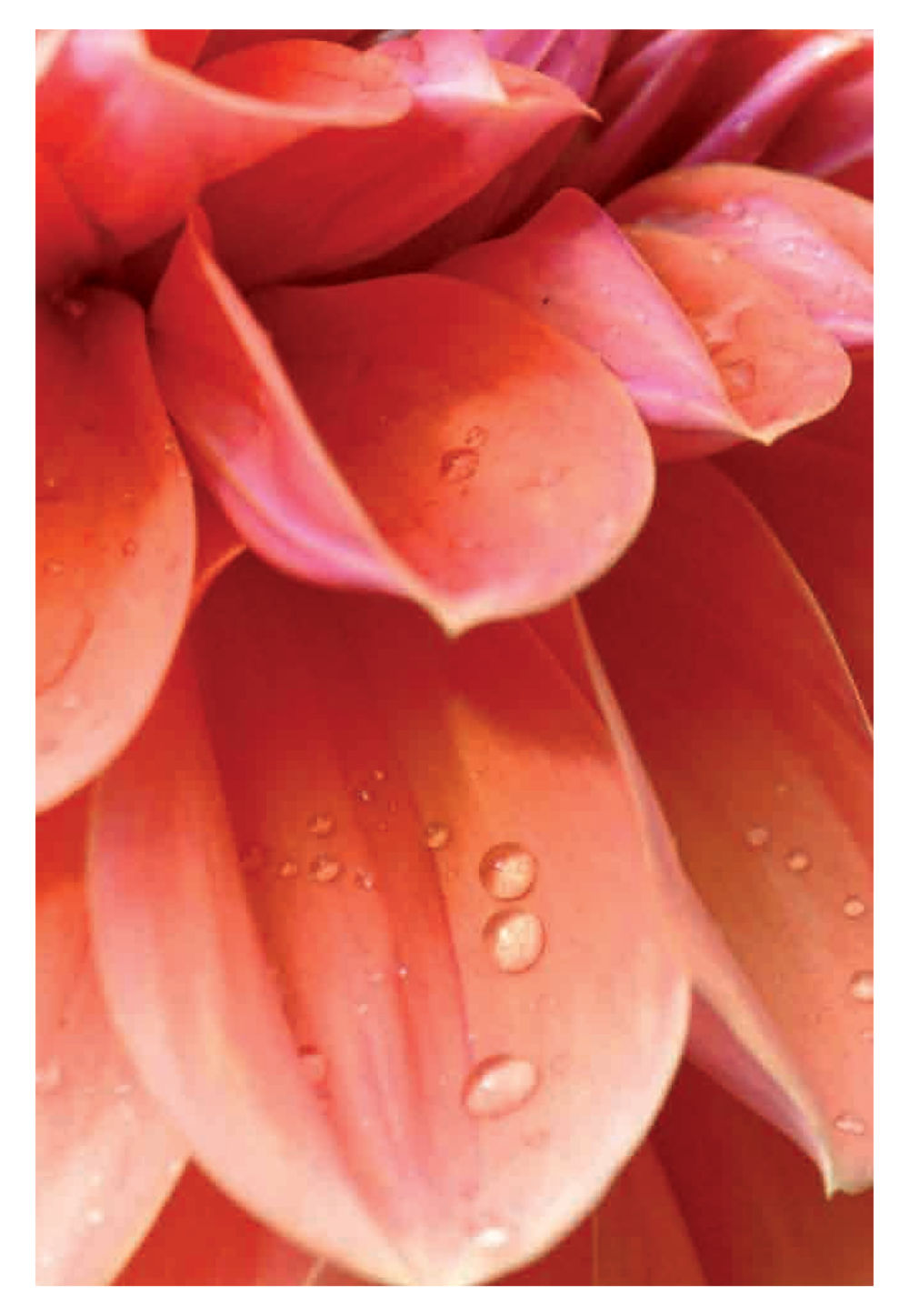 null Pearls of Inner Wisdom หน้า 35