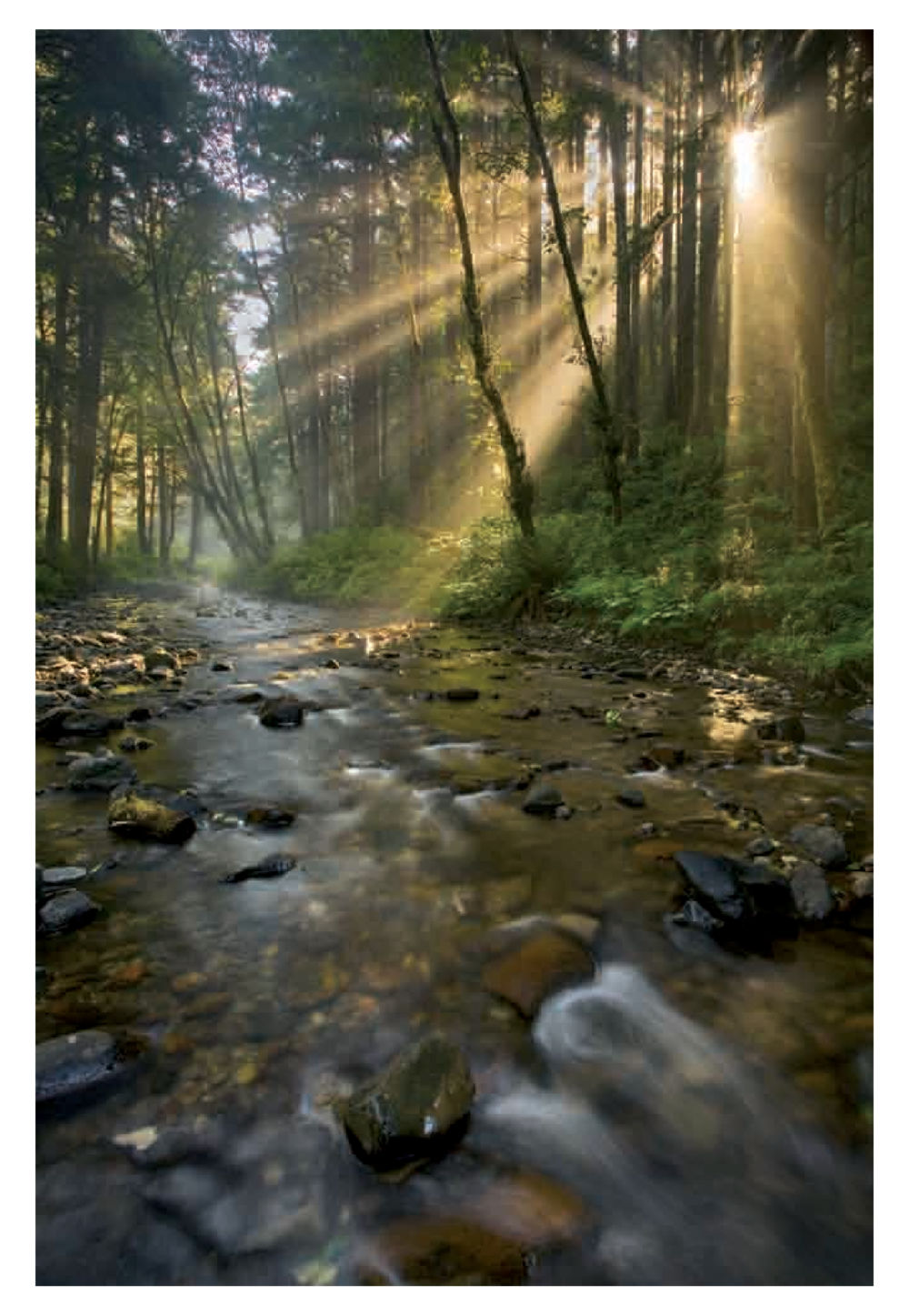 null Pearls of Inner Wisdom หน้า 40