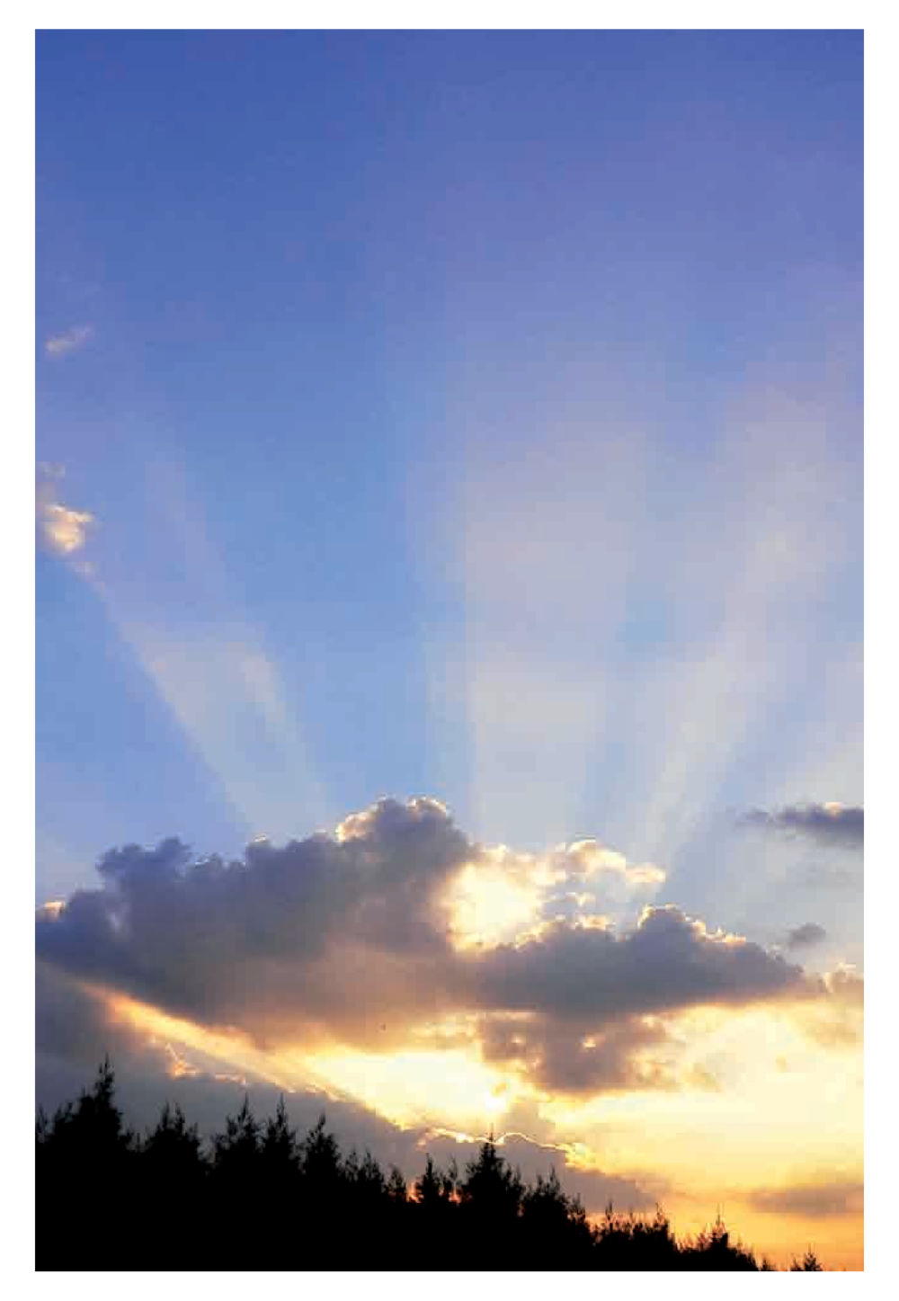 null Pearls of Inner Wisdom หน้า 41