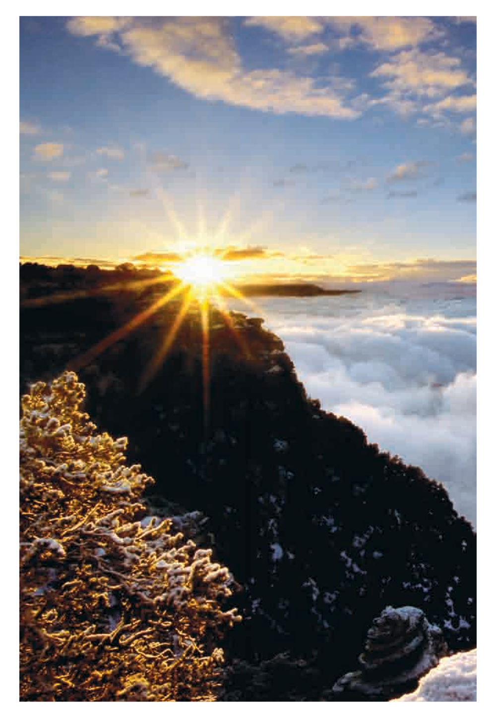 null Pearls of Inner Wisdom หน้า 57