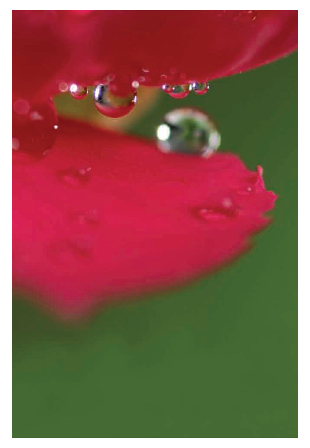 null Pearls of Inner Wisdom หน้า 79