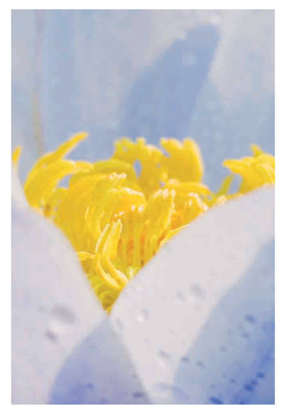 null Pearls of Inner Wisdom หน้า 94