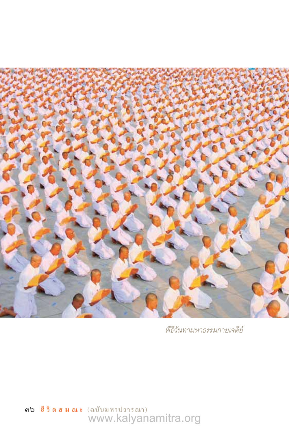 null ชีวิตสมณะ (ฉบับมหาปวารณา) หน้า 117