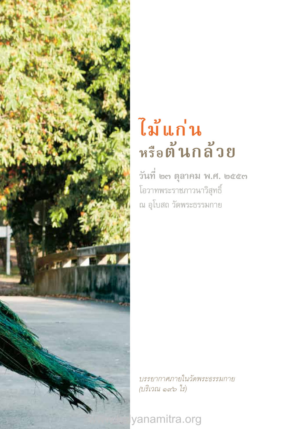null ชีวิตสมณะ (ฉบับมหาปวารณา) หน้า 386