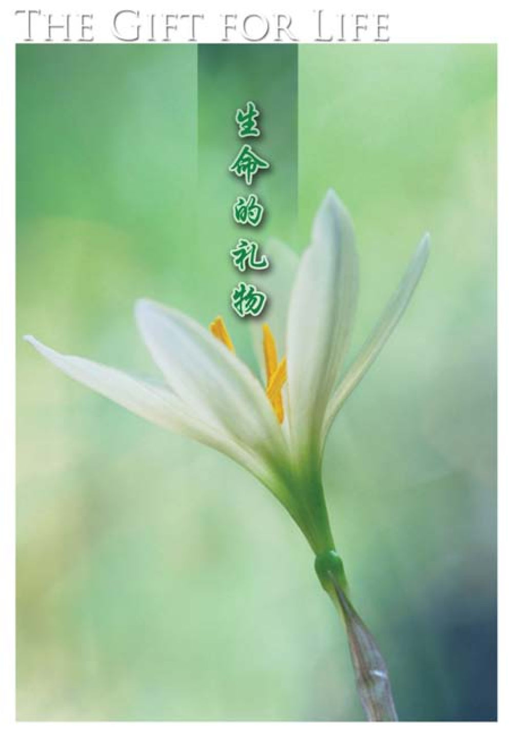null The Gift For Life  หน้า 2