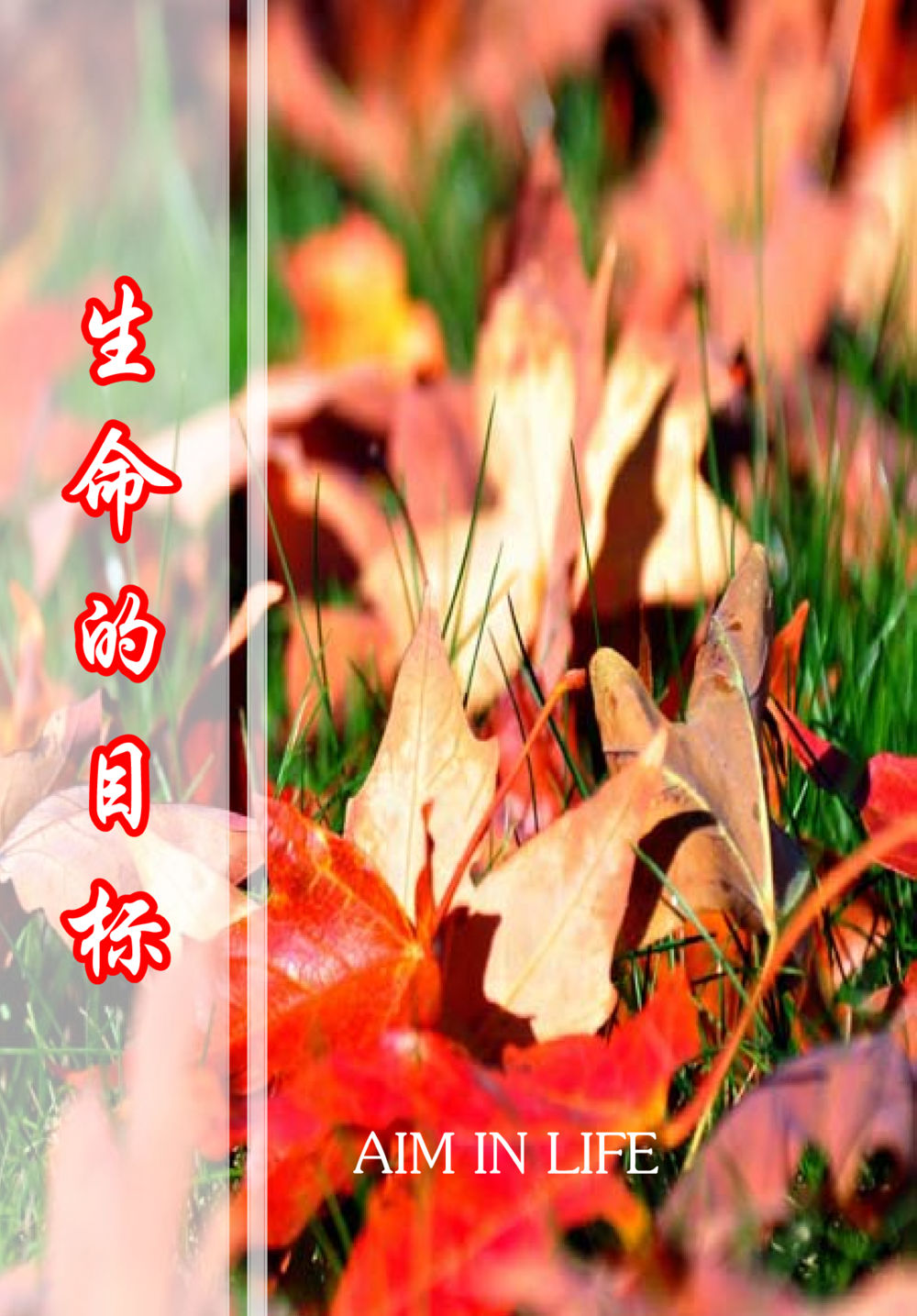 null The Gift For Life  หน้า 13