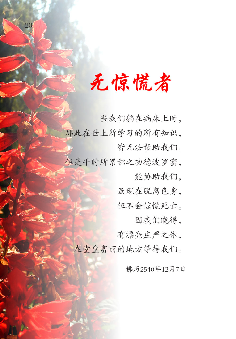 null The Gift For Life  หน้า 21