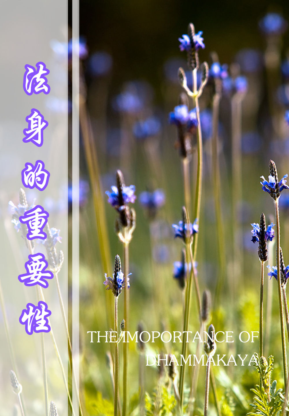 null The Gift For Life  หน้า 23